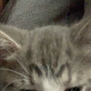 Meet your Posher, Ayleen